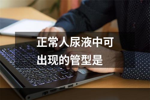 正常人尿液中可出现的管型是