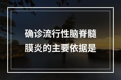 确诊流行性脑脊髓膜炎的主要依据是