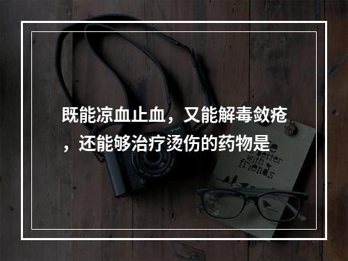 既能凉血止血，又能解毒敛疮，还能够治疗烫伤的药物是