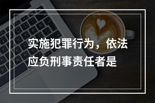 实施犯罪行为，依法应负刑事责任者是