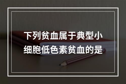 下列贫血属于典型小细胞低色素贫血的是