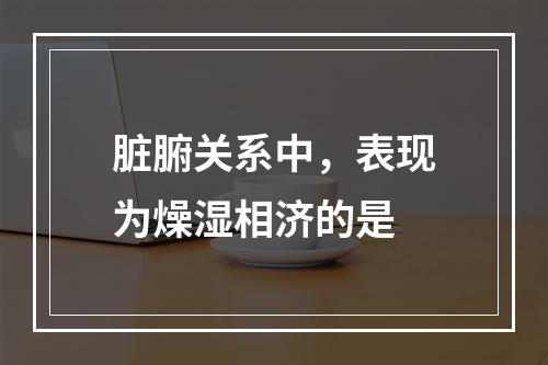 脏腑关系中，表现为燥湿相济的是