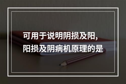 可用于说明阴损及阳,阳损及阴病机原理的是