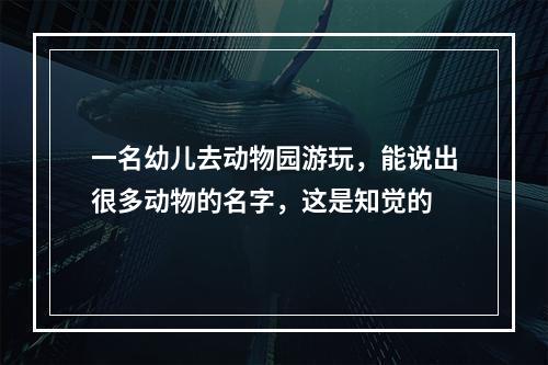 一名幼儿去动物园游玩，能说出很多动物的名字，这是知觉的