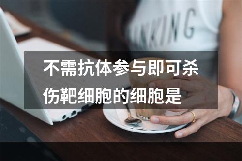 不需抗体参与即可杀伤靶细胞的细胞是