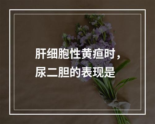 肝细胞性黄疸时，尿二胆的表现是