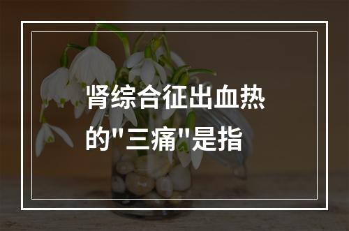 肾综合征出血热的