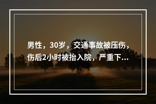 男性，30岁，交通事故被压伤，伤后2小时被抬入院，严重下肢挤