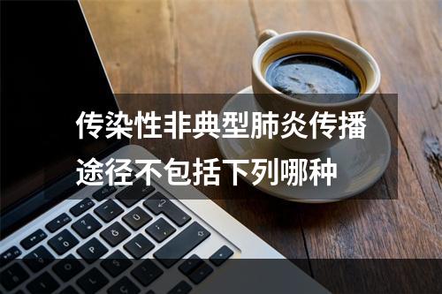 传染性非典型肺炎传播途径不包括下列哪种