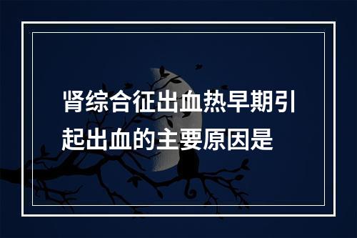 肾综合征出血热早期引起出血的主要原因是