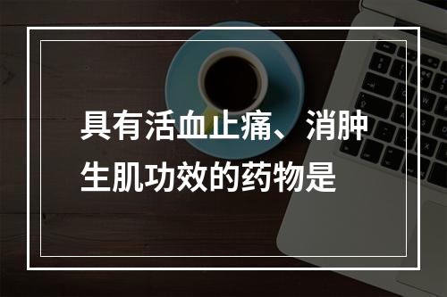 具有活血止痛、消肿生肌功效的药物是