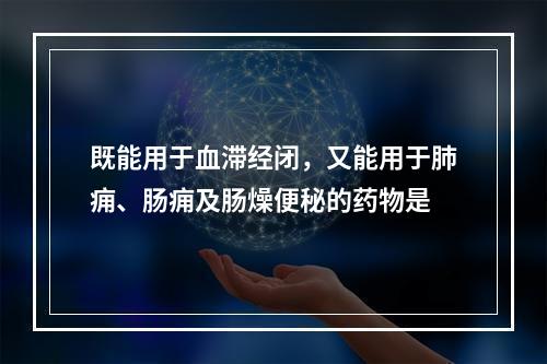 既能用于血滞经闭，又能用于肺痈、肠痈及肠燥便秘的药物是