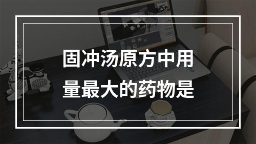 固冲汤原方中用量最大的药物是