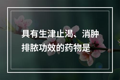 具有生津止渴、消肿排脓功效的药物是