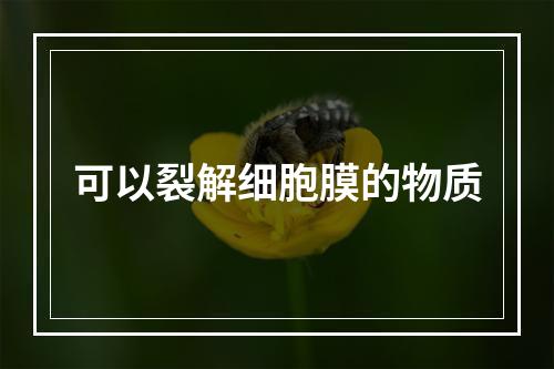 可以裂解细胞膜的物质