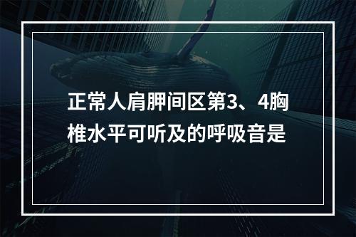 正常人肩胛间区第3、4胸椎水平可听及的呼吸音是