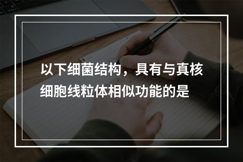 以下细菌结构，具有与真核细胞线粒体相似功能的是