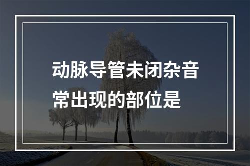 动脉导管未闭杂音常出现的部位是