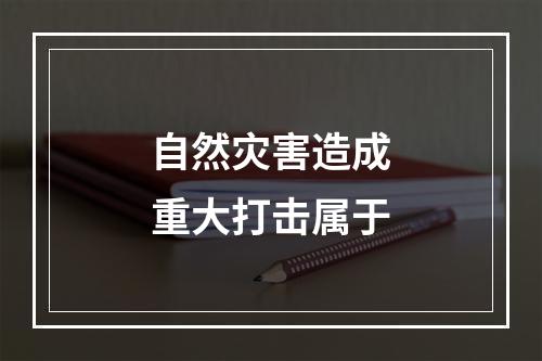 自然灾害造成重大打击属于