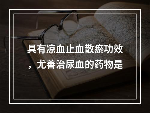 具有凉血止血散瘀功效，尤善治尿血的药物是