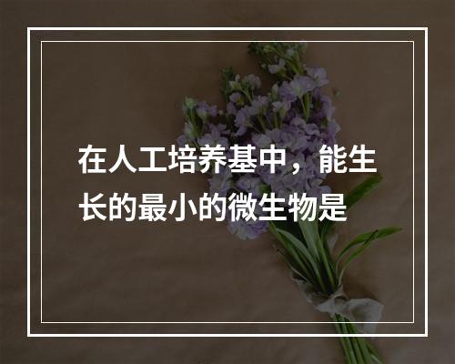 在人工培养基中，能生长的最小的微生物是