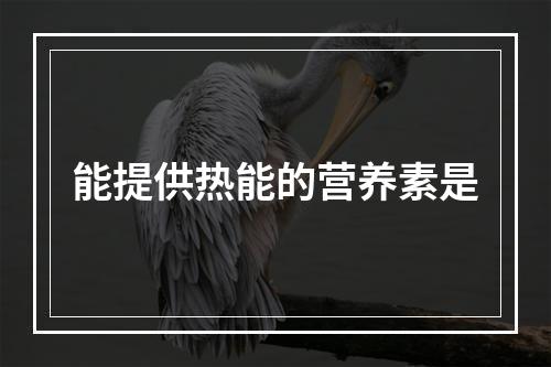 能提供热能的营养素是