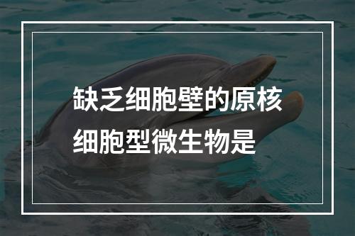 缺乏细胞壁的原核细胞型微生物是