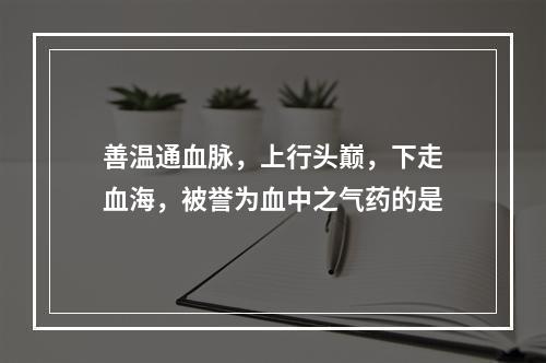 善温通血脉，上行头巅，下走血海，被誉为血中之气药的是