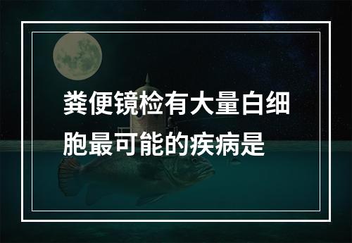 粪便镜检有大量白细胞最可能的疾病是