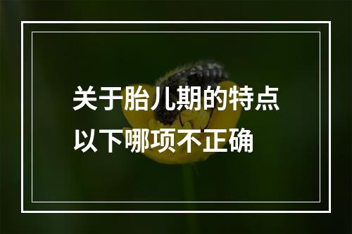 关于胎儿期的特点以下哪项不正确