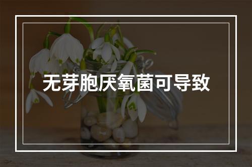 无芽胞厌氧菌可导致