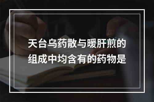 天台乌药散与暖肝煎的组成中均含有的药物是