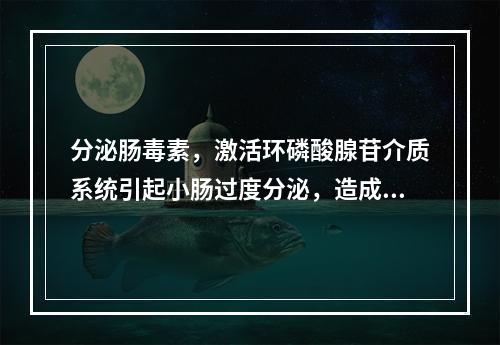 分泌肠毒素，激活环磷酸腺苷介质系统引起小肠过度分泌，造成剧烈