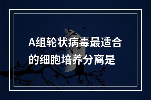 A组轮状病毒最适合的细胞培养分离是