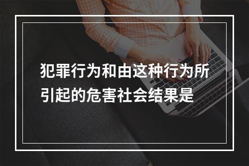 犯罪行为和由这种行为所引起的危害社会结果是