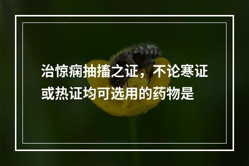 治惊痫抽搐之证，不论寒证或热证均可选用的药物是