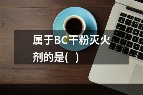 属于BC干粉灭火剂的是(   )