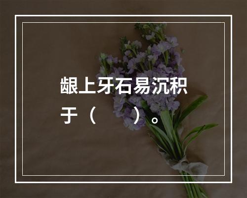 龈上牙石易沉积于（　　）。