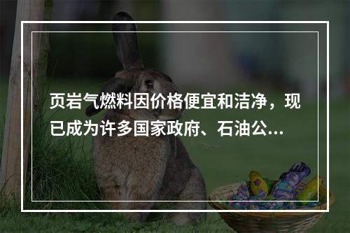 页岩气燃料因价格便宜和洁净，现已成为许多国家政府、石油公司