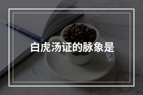 白虎汤证的脉象是