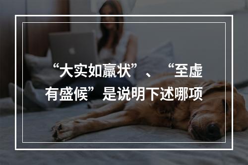 “大实如羸状”、“至虚有盛候”是说明下述哪项