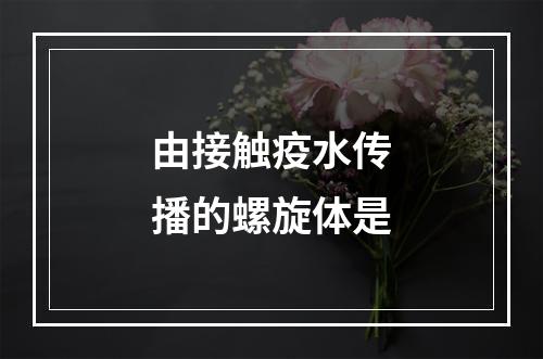 由接触疫水传播的螺旋体是