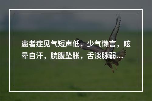 患者症见气短声低，少气懒言，眩晕自汗，脘腹坠胀，舌淡脉弱，宜