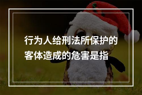 行为人给刑法所保护的客体造成的危害是指