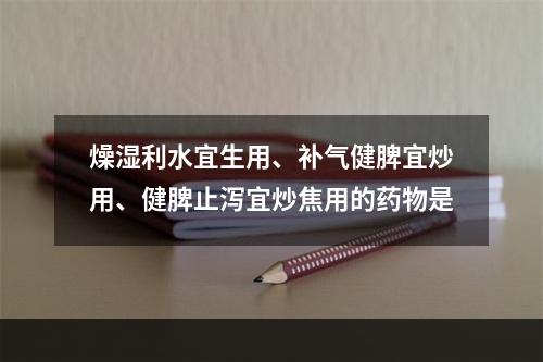 燥湿利水宜生用、补气健脾宜炒用、健脾止泻宜炒焦用的药物是