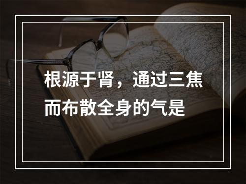 根源于肾，通过三焦而布散全身的气是