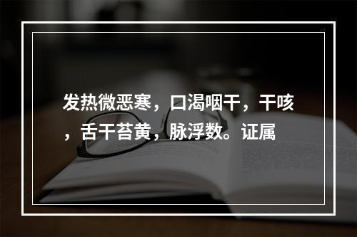 发热微恶寒，口渴咽干，干咳，舌干苔黄，脉浮数。证属