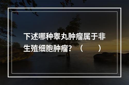 下述哪种睾丸肿瘤属于非生殖细胞肿瘤？（　　）