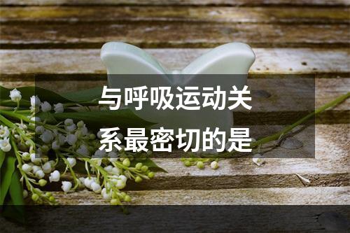 与呼吸运动关系最密切的是