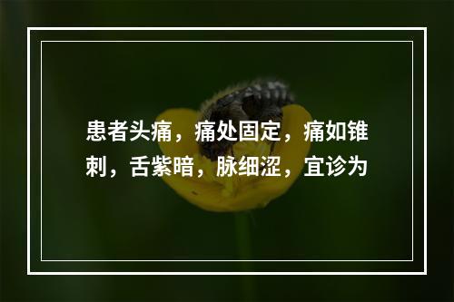 患者头痛，痛处固定，痛如锥刺，舌紫暗，脉细涩，宜诊为